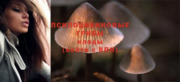 прущие крисы Балахна