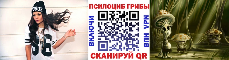 Галлюциногенные грибы Magic Shrooms  где найти   Горняк 